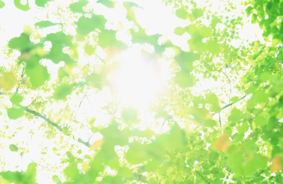 ダイエットコースリンパトリートメント＆インディバ